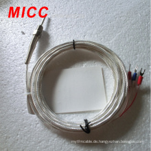 MICC-Klasse-1-Draht- und RTD-Elemente kombiniert PT1000-Sensor